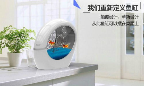 稀品匯 科技與新概念的互聯網營銷先鋒，引領布加桌寶線上銷售新潮流